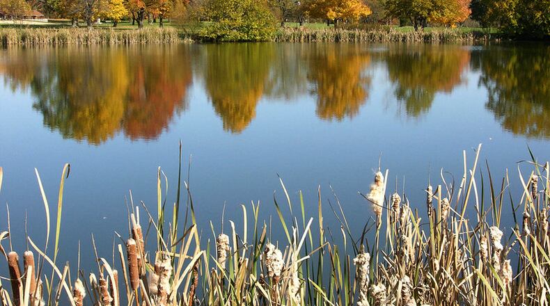 State parks like Hueston Woods offer a beautiful glimpse at the vibrancy of fall. ODNR