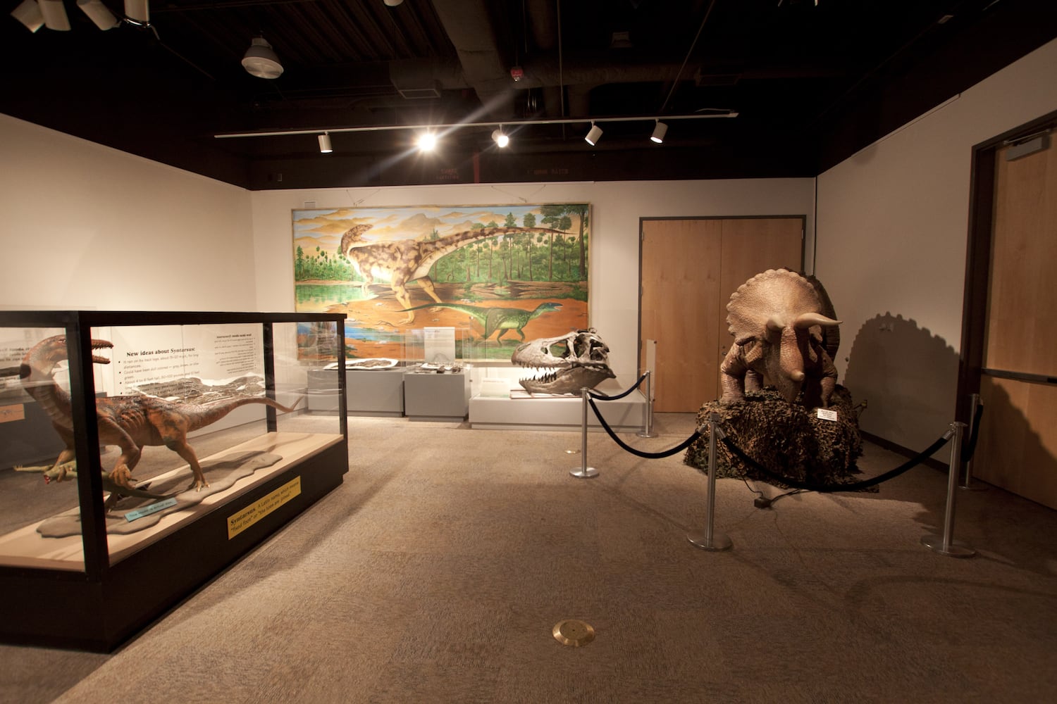 SNEAK PEEK: Here’s a glimpse inside Boonshoft’s brand new DINO attraction that’s got everyone excited