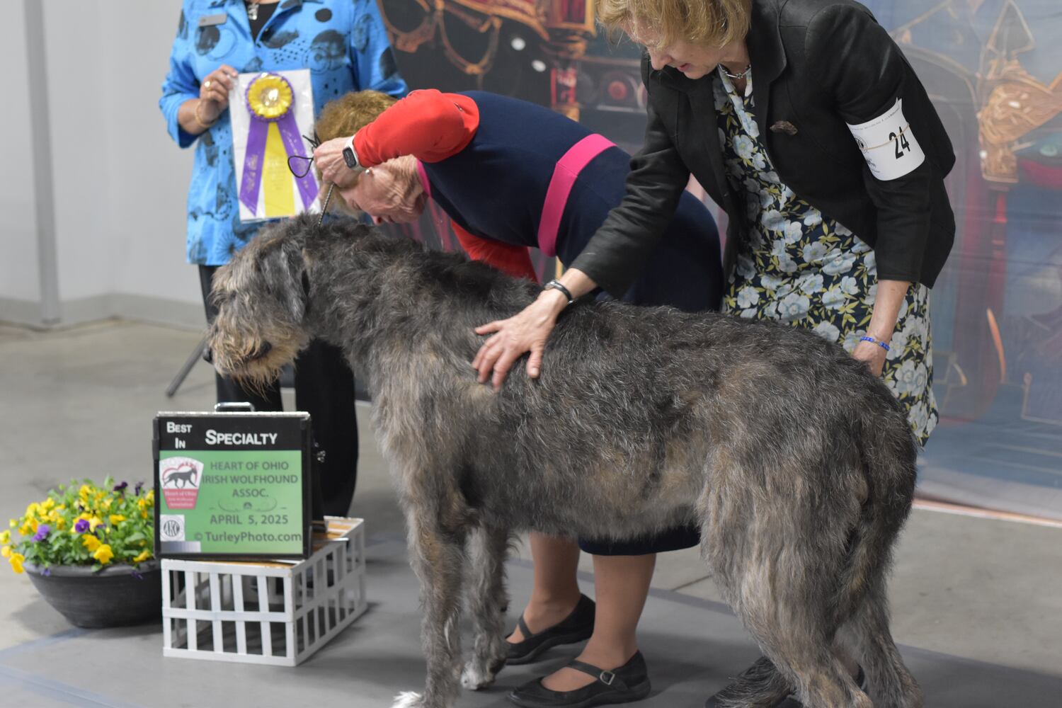 Fort St. Clair Kennel Club Dog Show