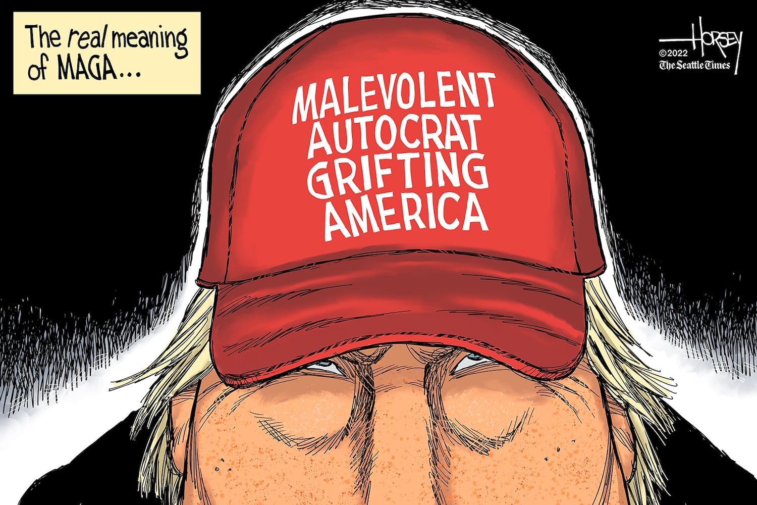 WEEK IN CARTOONS: Roe v. Wade overturned, inflation and more