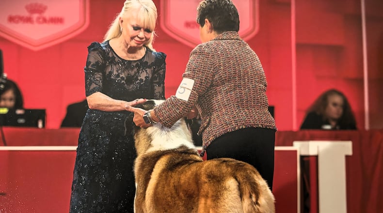 Beavercreek Twp. resident Vicki Seiler-Cushman, left, will be one of seven final judges at the Westminster Kennel Club dog show in February. CONTRIBUTED