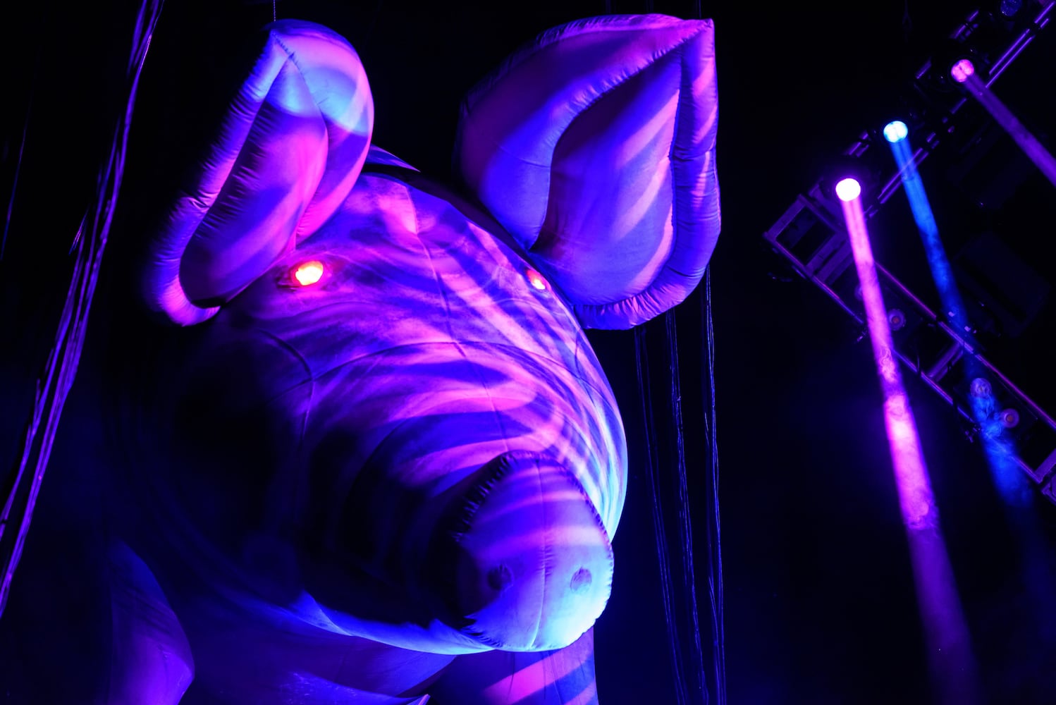PHOTOS: Brit Floyd 'Wish You Were Here' live at Rose Music Center