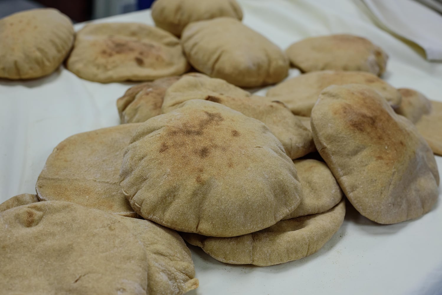 PHOTOS: 25th annual Egyptian Festival in Miamisburg