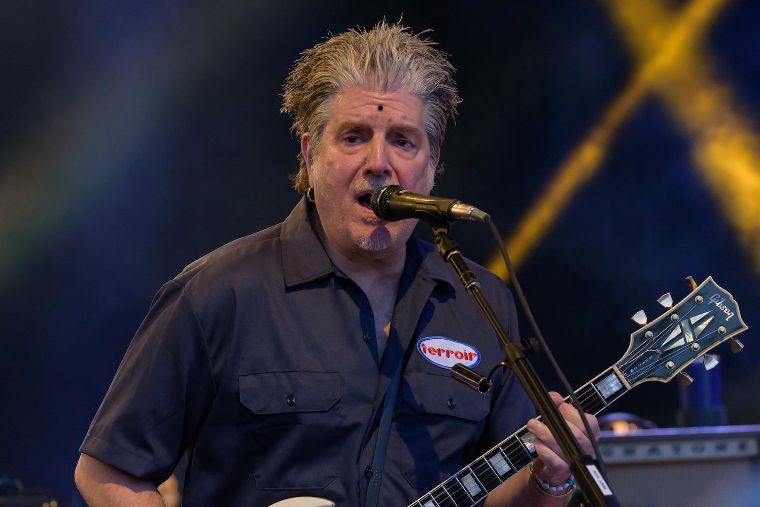 PHOTOS: Counting Crows & The Gaslight Anthem live at Fraze Pavilion