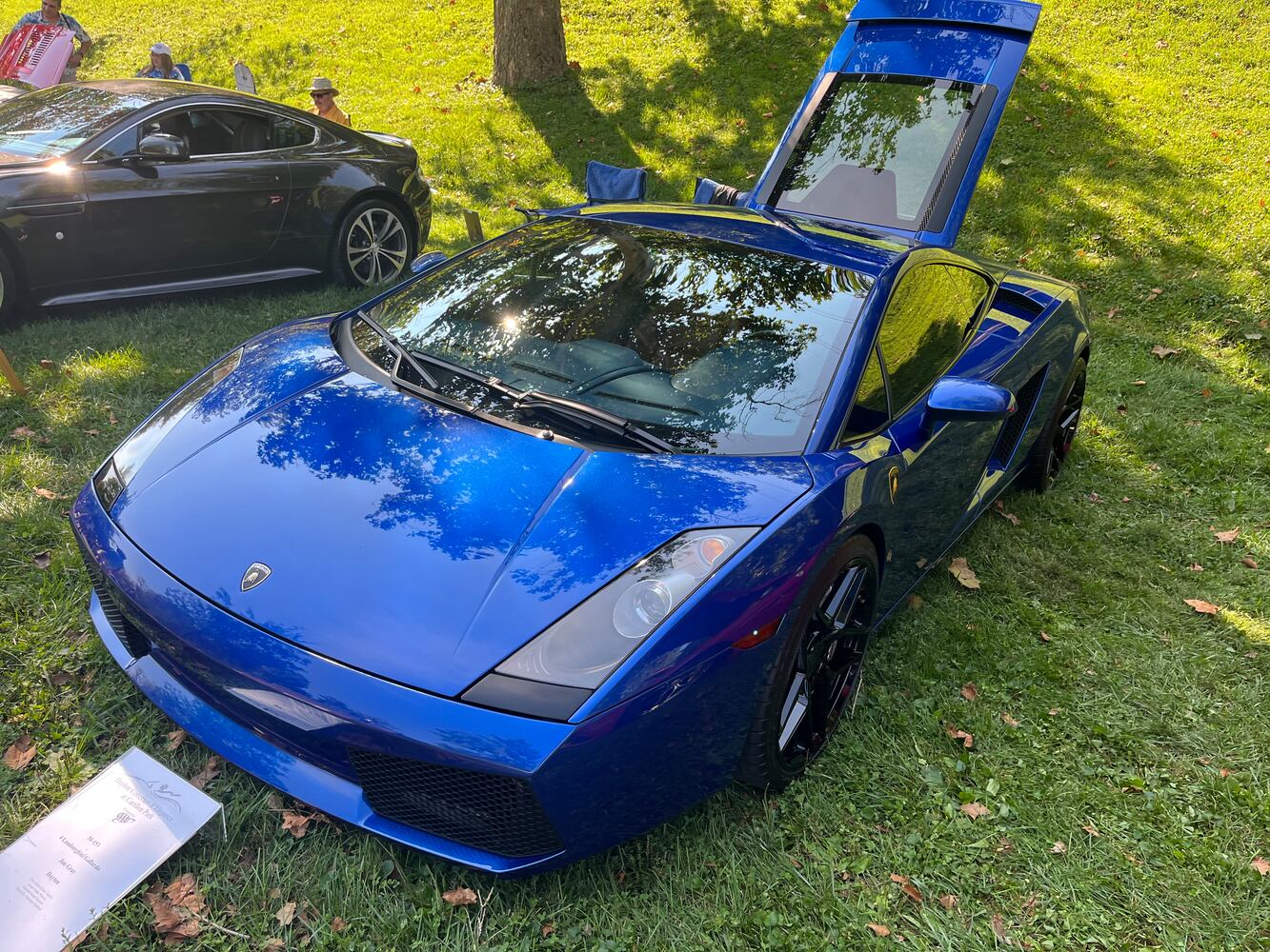 Dayton Concours d’Elegance at Carillon Park