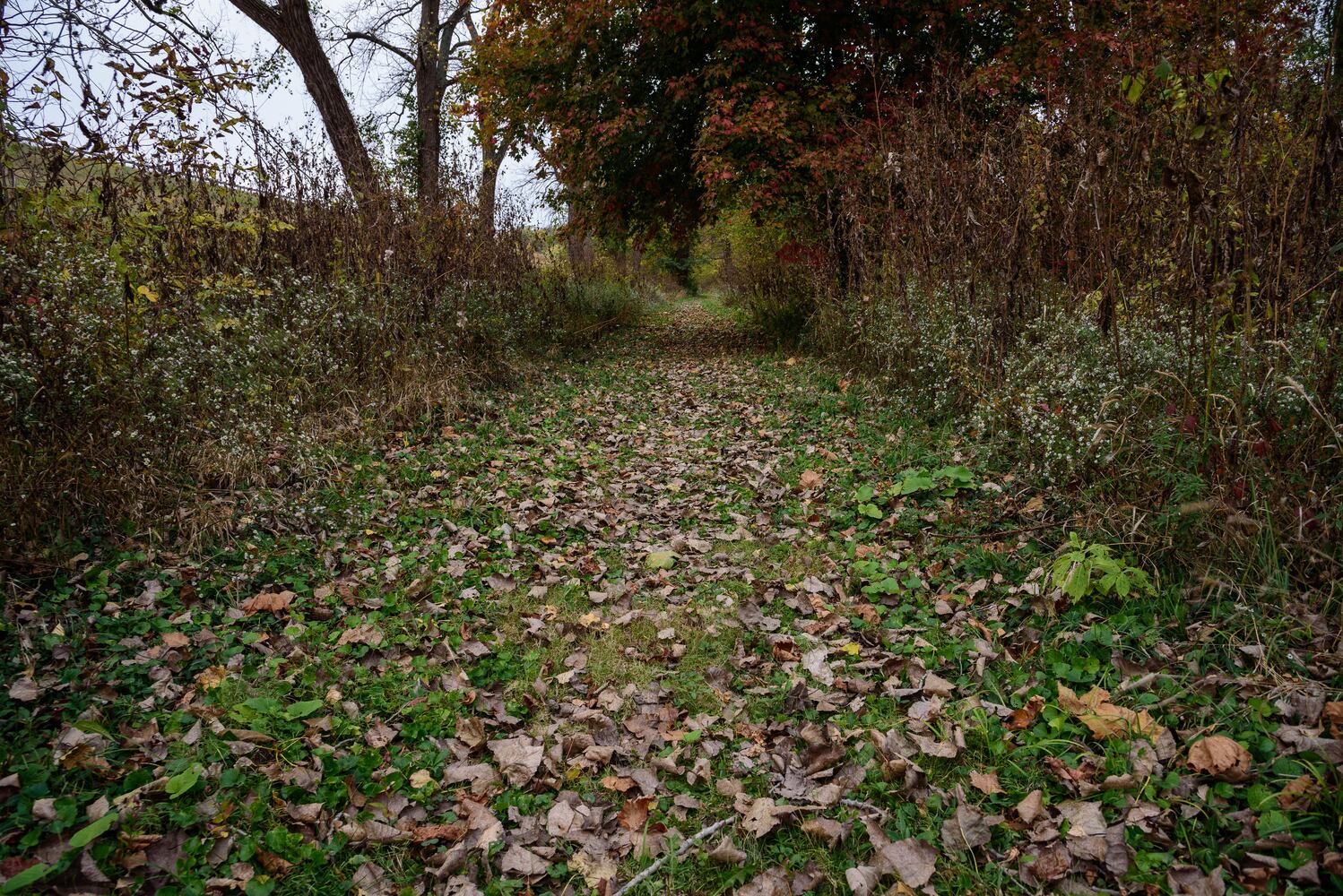 Huffman MetroPark in the fall