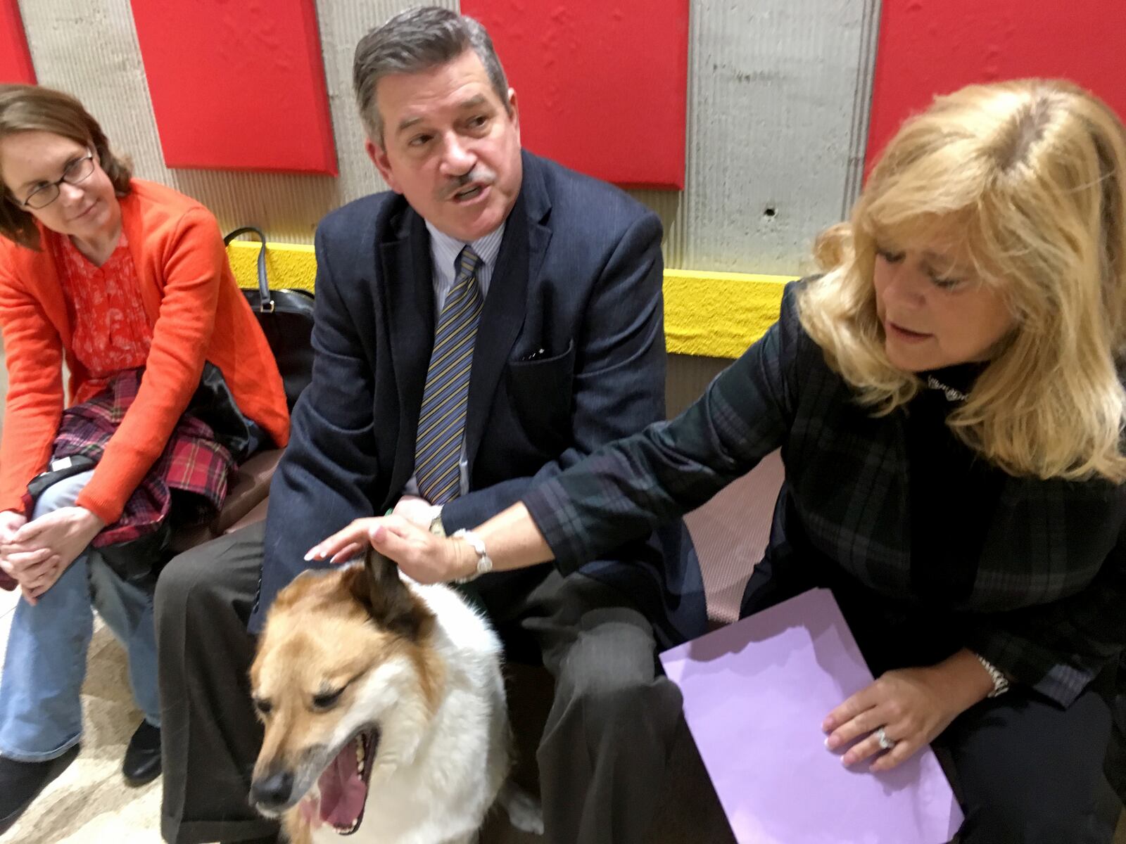 Murdock, a 7-year-old boxer owned by local philanthropist Teresa Huber. was given the fist Montgomery County dog license of 2017.  Huber’s other boxer Tena  holds the second license as part of a fund raiser for The Humane Society of Greater Dayton. Third went to Winston, Montgomery County auditor Karl Keith’s 4-year-old  Collie--shepherd mix.