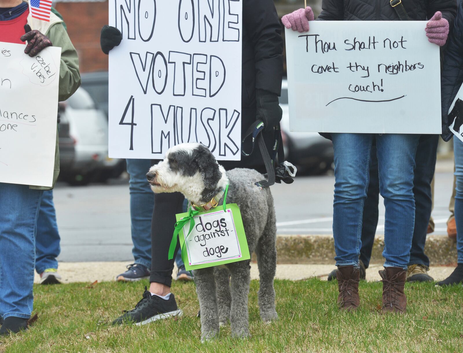 Hundreds of people gather in downtown St. Joseph, Mich., Saturday, April 5, 2025, during a "Hands Off" rally held to protest the Trump administration and recent DOGE cuts. (Don Campbell/The Herald-Palladium via AP)