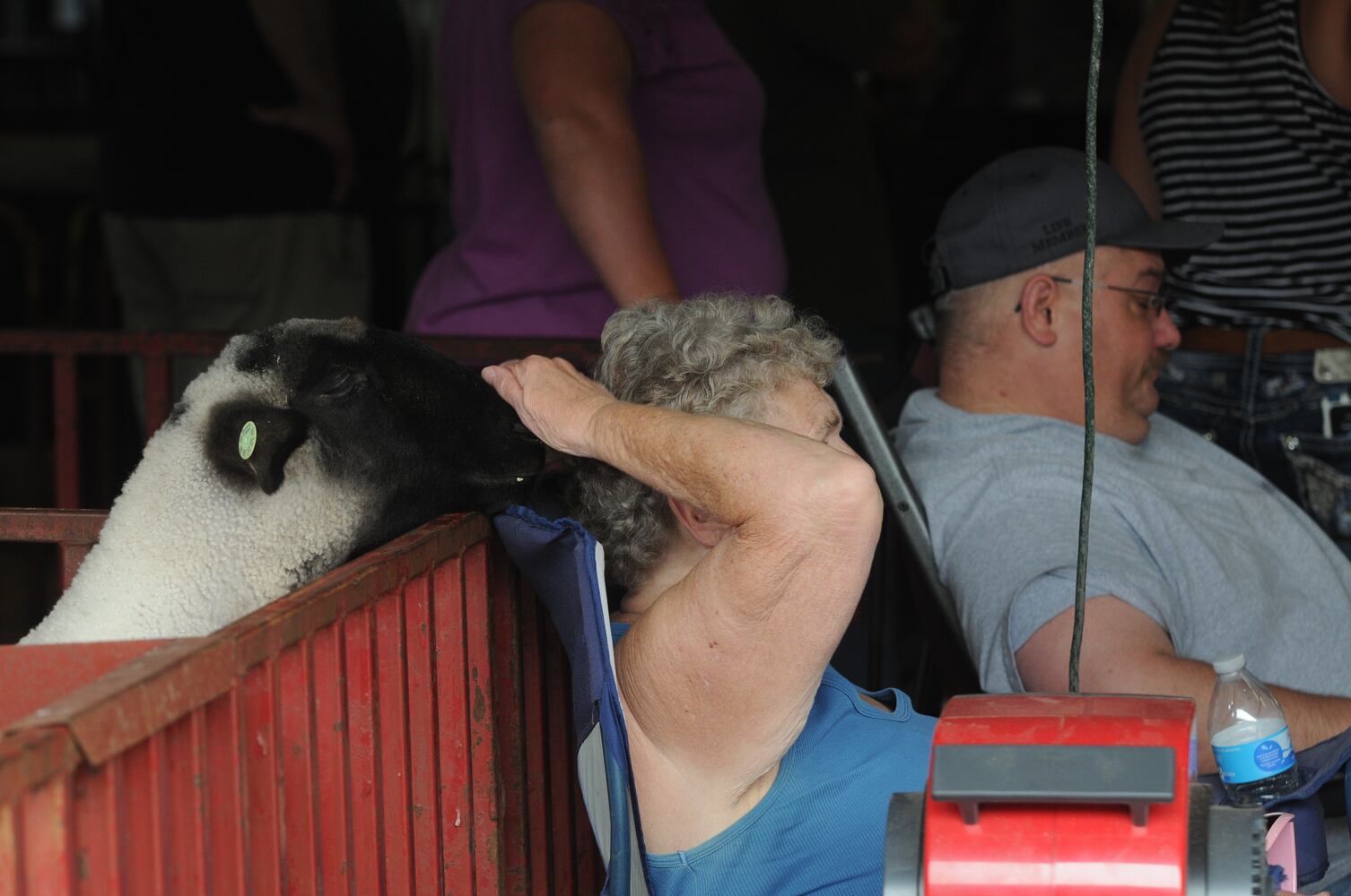 PHOTOS: Did we spot you at the Great Darke County Fair?