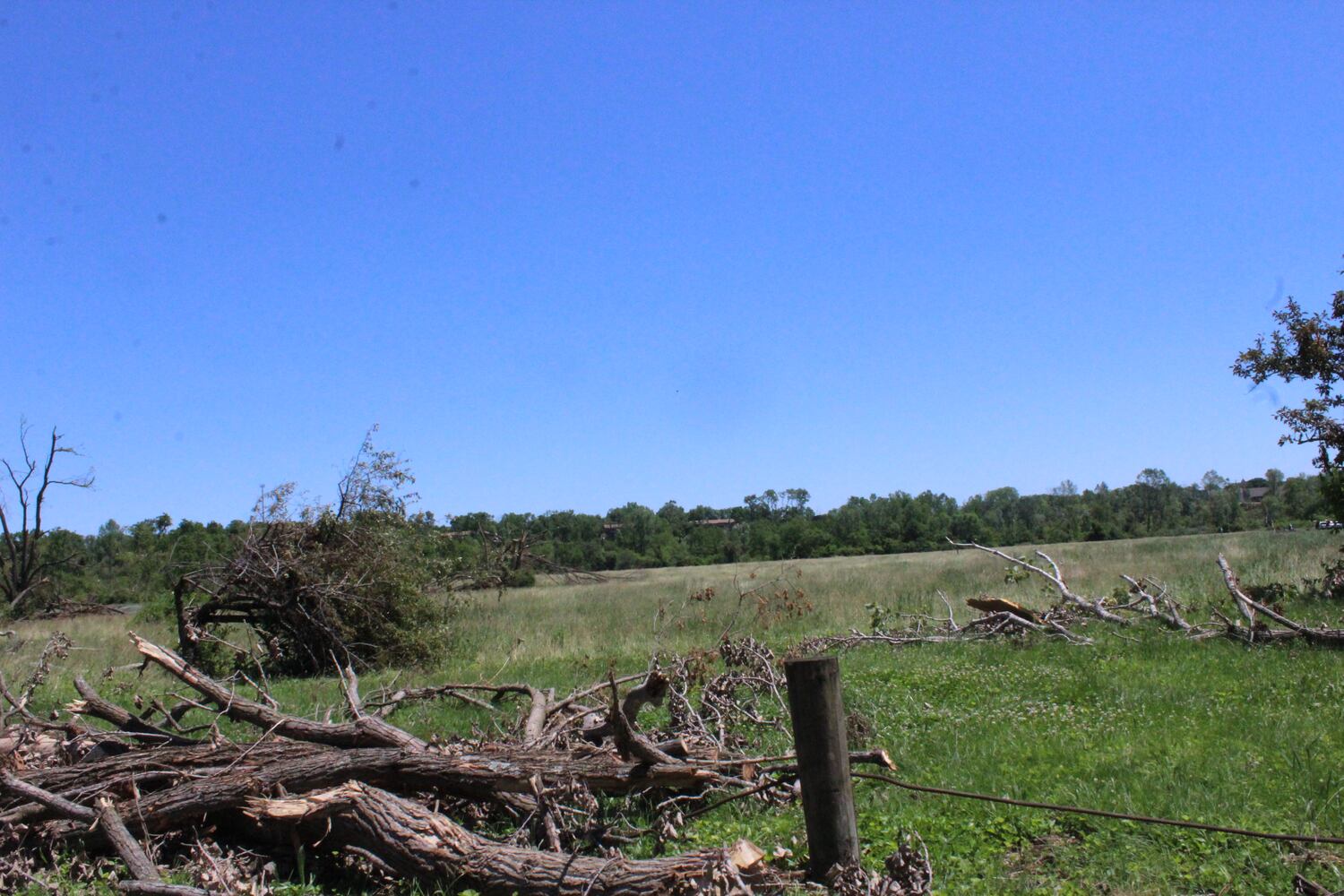 Photos: ‘extraordinary’ damage to parts of  Wegerzyn MetroPark, some parts mostly untouched