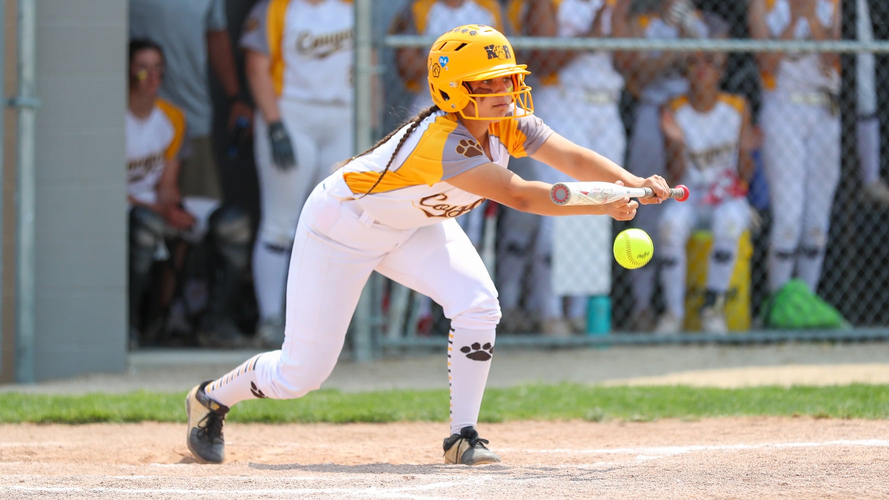 kr softball