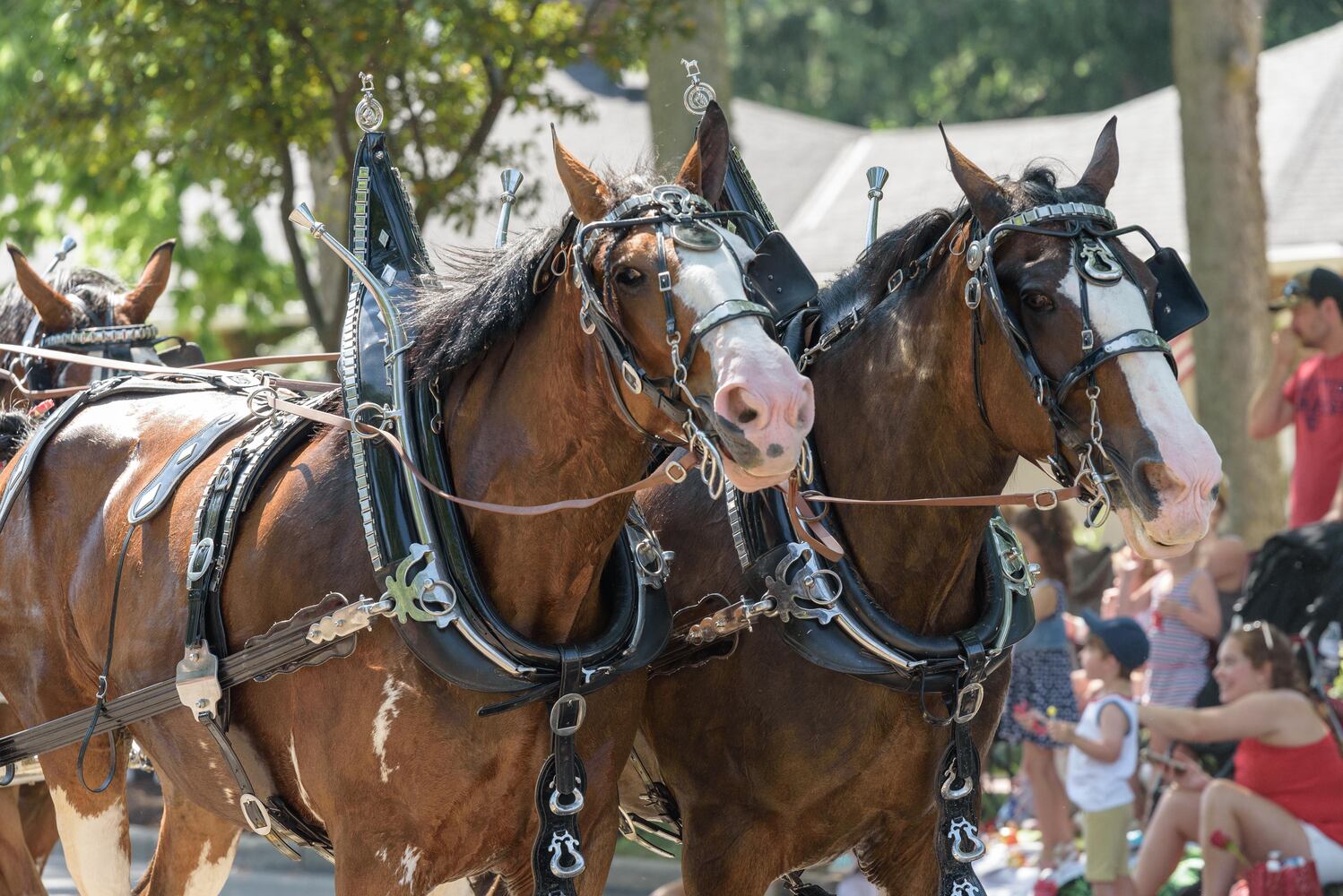 PHOTOS: Did we spot you at the 50th Centerville-Washington Twp. Americana Festival Parade?