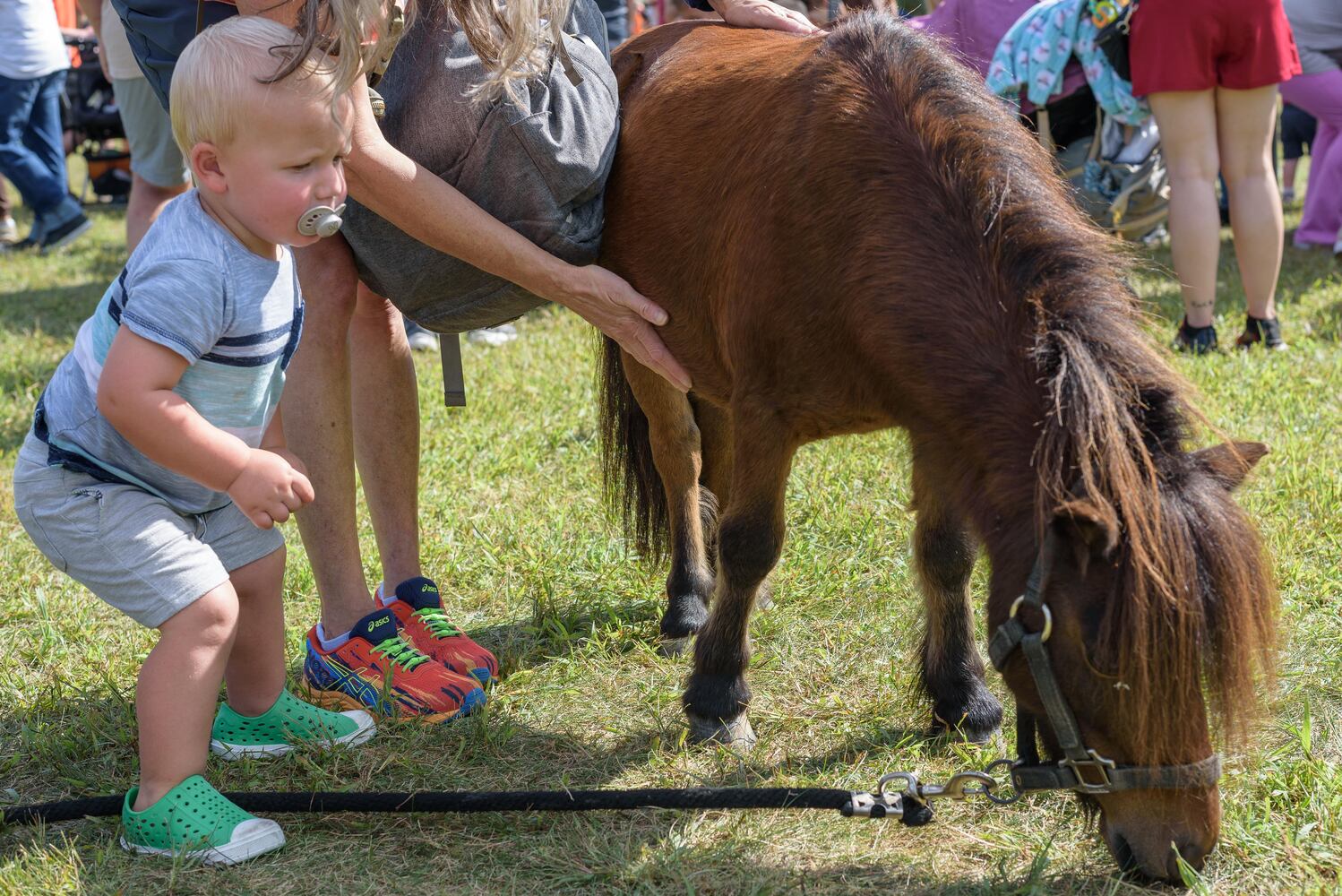 PHOTOS: Did we spot you at the Centerville Fall Fest at Stubbs Park?
