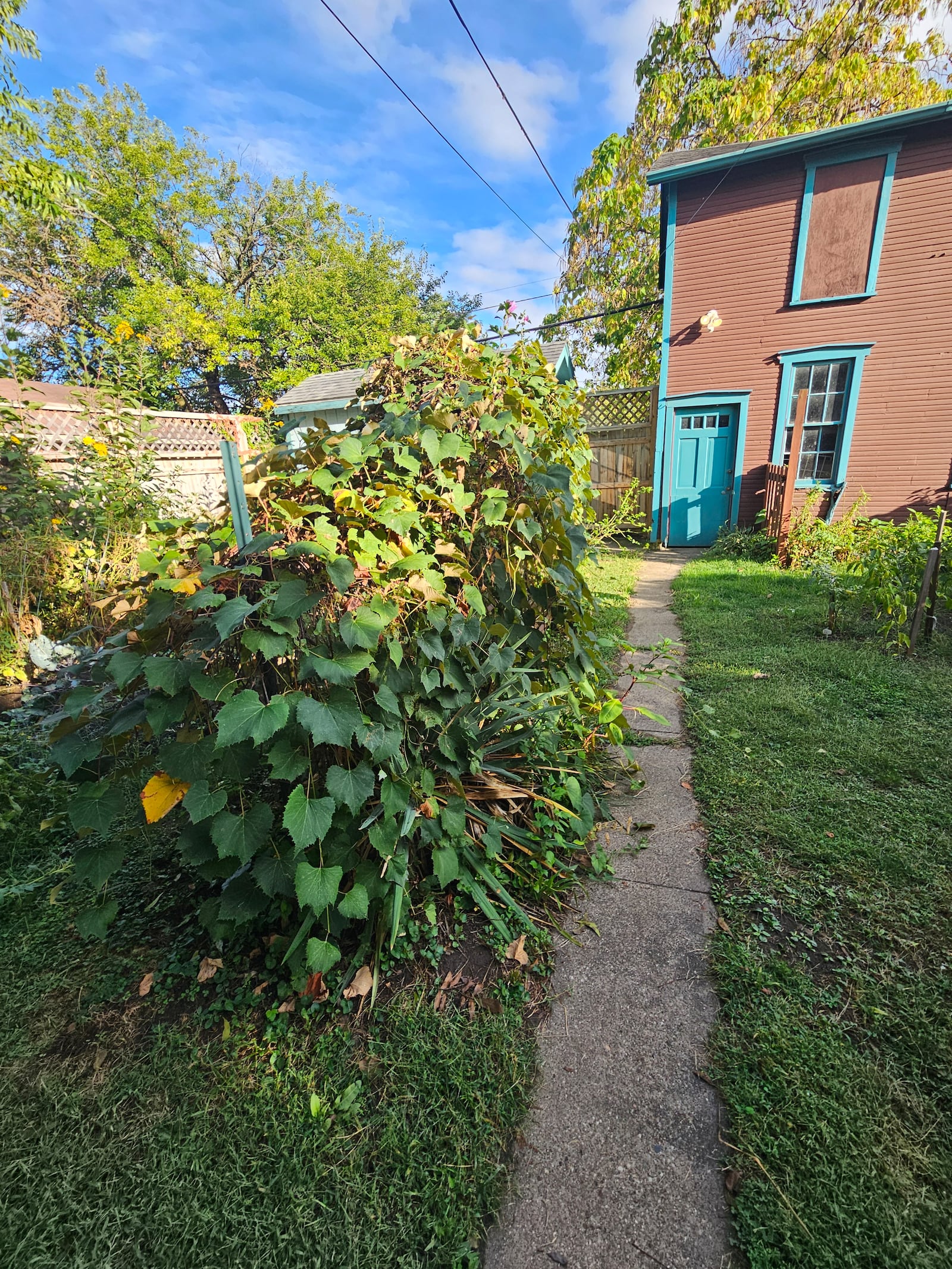 Sarah and Riley Dugan bought a historic home on Hickory Street in the South Park historic district in 2019. It was in foreclosure at the time and in great need of renovations. The Dugans have worked to restore original details that were lost to damage and time. CONTRIBUTED