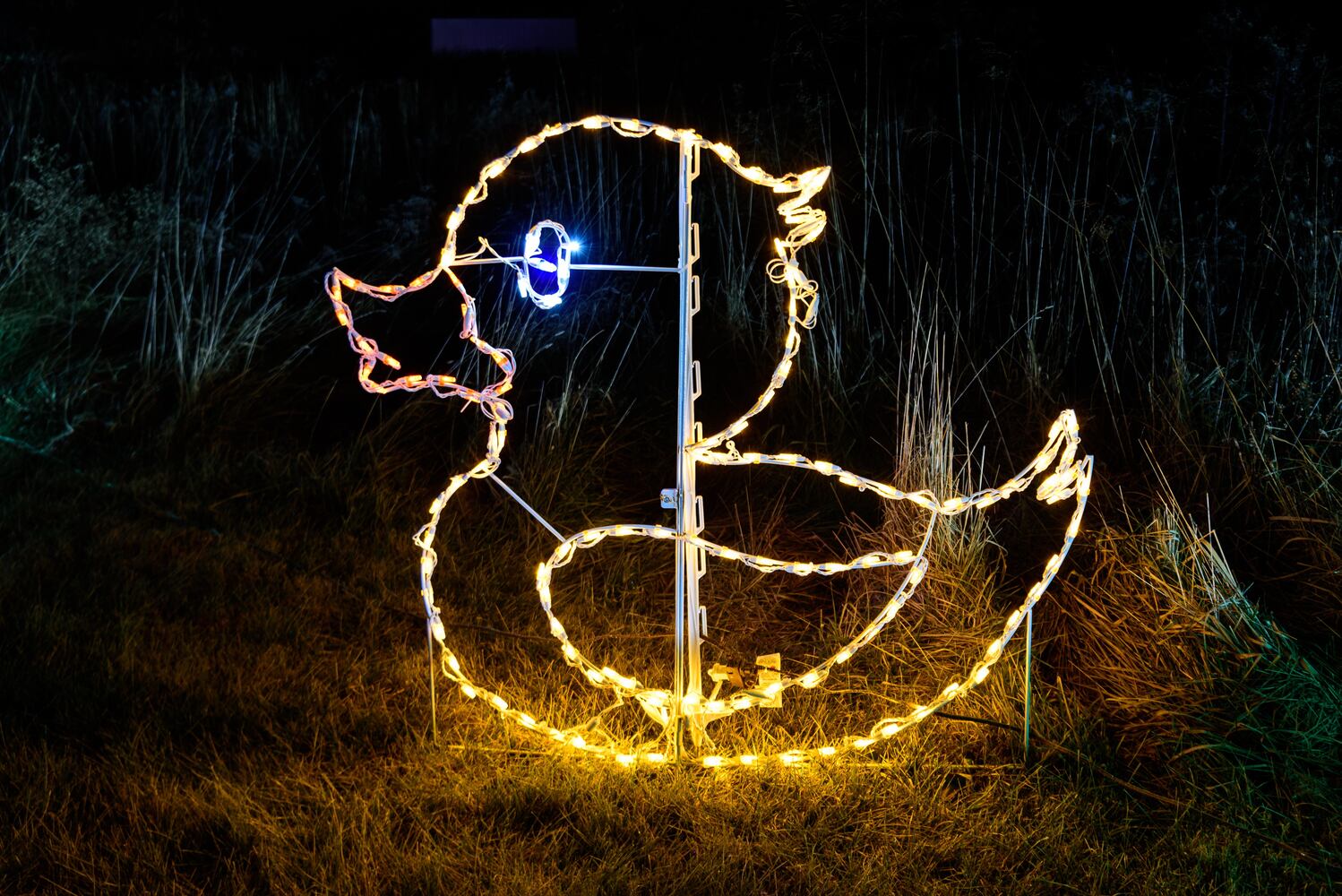 PHOTOS: ParkLights at Caesar Ford Park