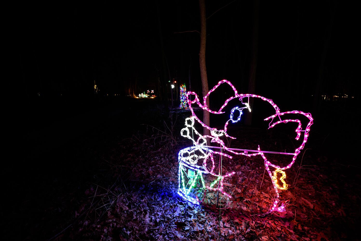 PHOTOS: Holiday Lights dazzle at Lost Creek Reserve in Troy