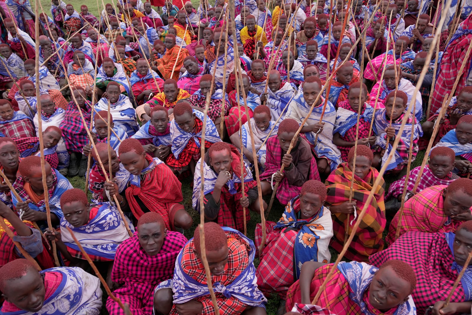 Children of the Maasai tribe gather around during the Enkipaata ceremony, a Maasai male rite of passage, specifically the initiation of boys, marking the transition from childhood to becoming a moran (warrior) in Olaimutiai, Narok County, Kenya Thursday, April 24, 2024. (AP Photo/Brian Inganga)