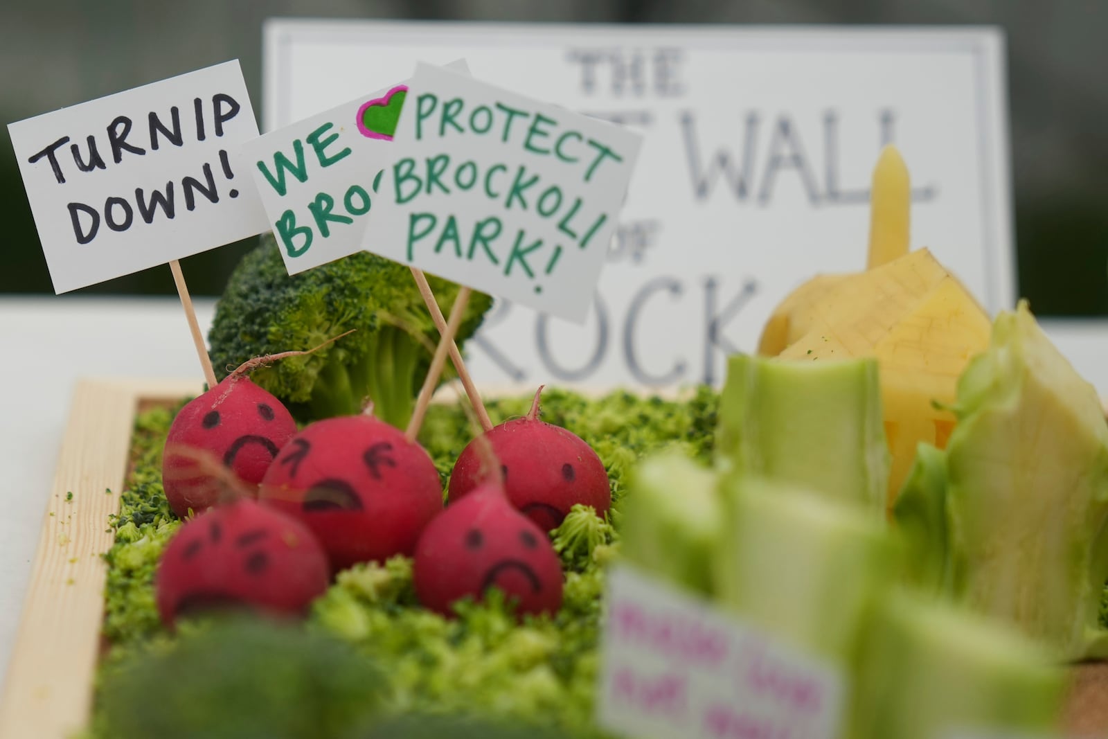 'The Great Wall of Broccoli' on display and part of the vegetable sculpture competition at the Lambeth County Show in London, Saturday, June 7, 2025. (AP Photo/Joanna Chan)