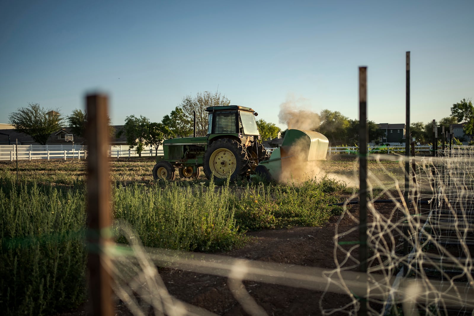A tractor clears farmland in Agritopia, a community nestled around a plot of agricultural land, on Sunday, April 22, 2025, in Gilbert, Ariz. (AP Photo/Annika Hammerschlag)