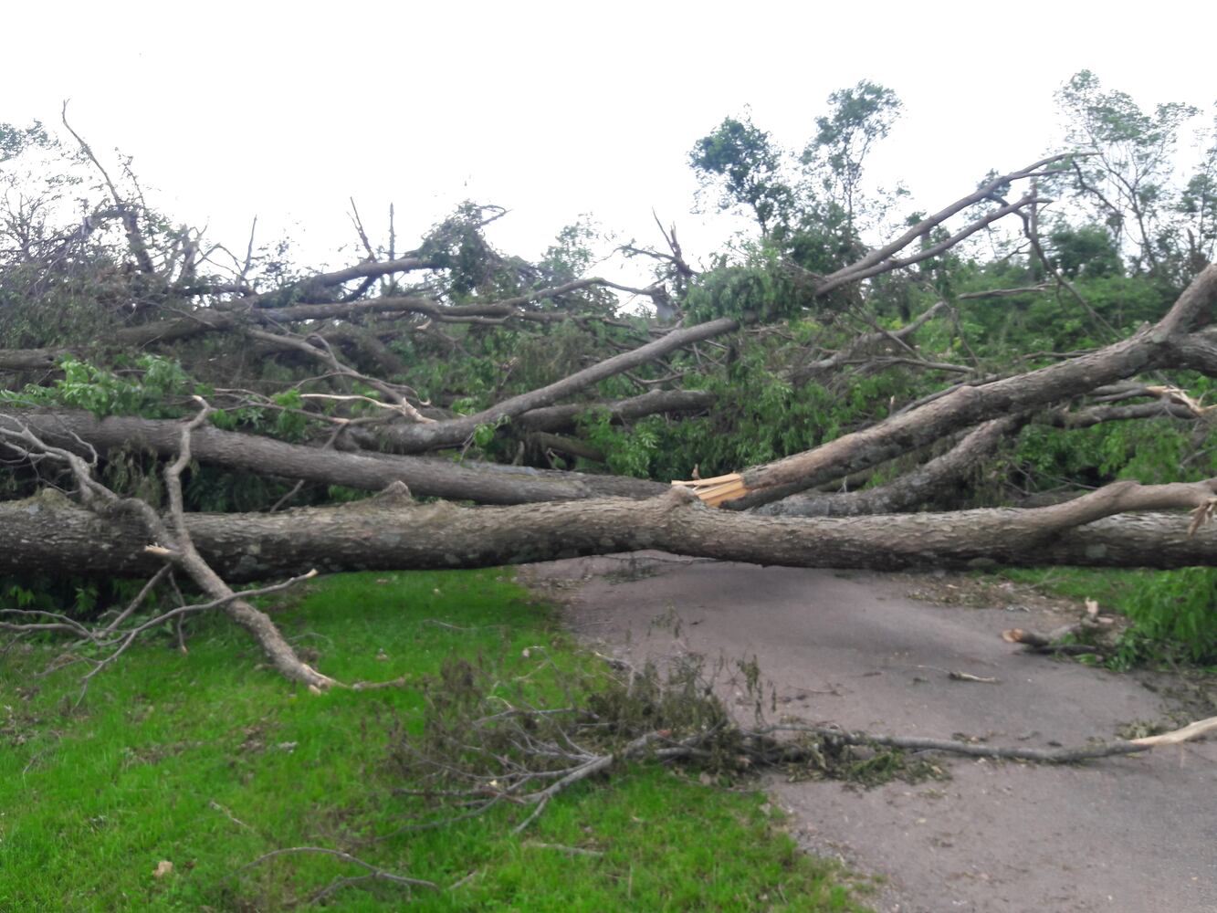 Photos: ‘extraordinary’ damage to parts of  Wegerzyn MetroPark, some parts mostly untouched