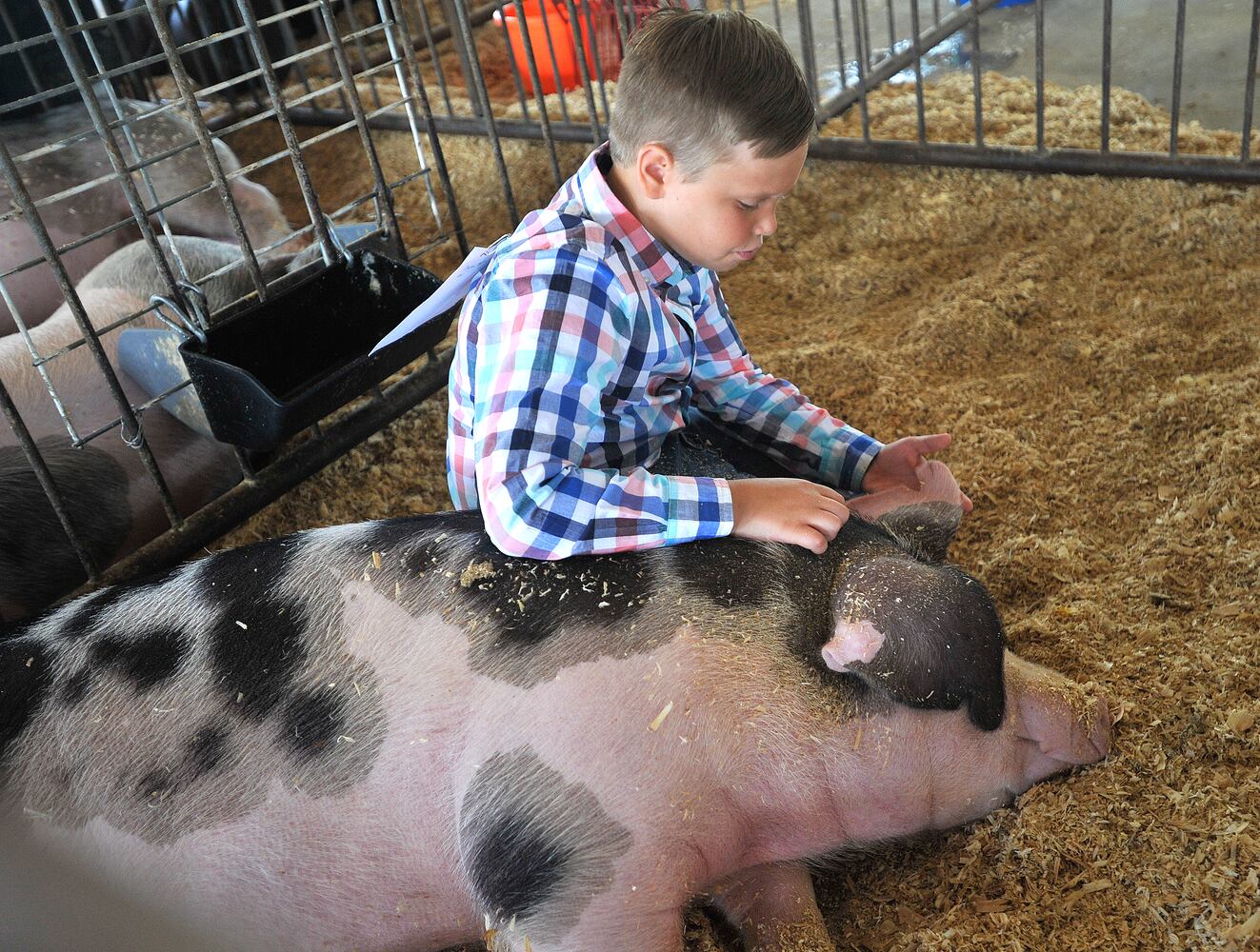 Miami County Fair
