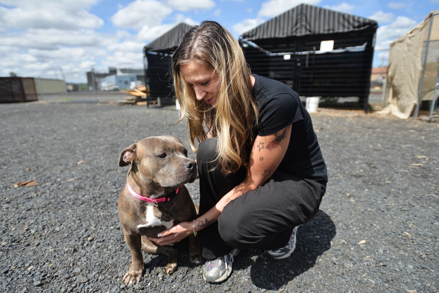 News hounds (5/21/15)