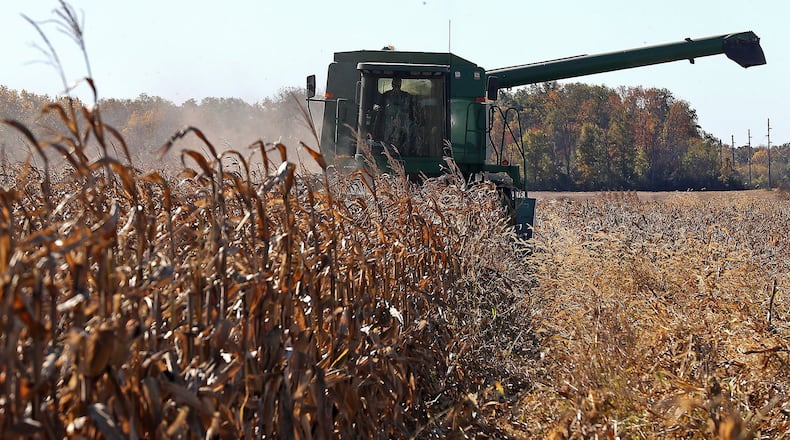 Bob Suver harvests his corn crop Wednesday along Detrick-Jordan Pike near New Carlisle. Even during a growing season when 1.5 million fewer acres of soybeans and corn were planted in Ohio, average farm incomes in the state are likely to increase compared to last year, according to an agricultural economist with The Ohio State University. BILL LACKEY/STAFF