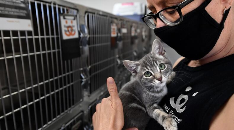 The Fayette Regional Humane Society and Humane Society of Greater Dayton are participating in the fall 2021 Bissell Pet Foundation Empty the Shelters event. WALLY SKALIJ / LOS ANGELES TIMES