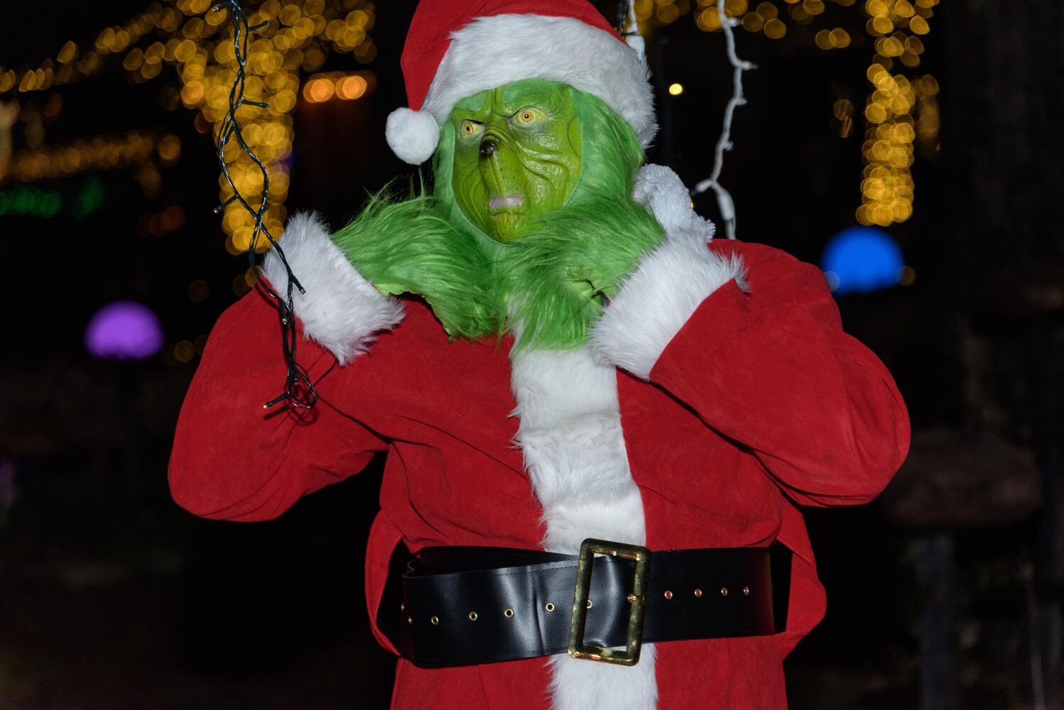 PHOTOS: The Second Annual Yuletide Village at Renaissance Park Event Center