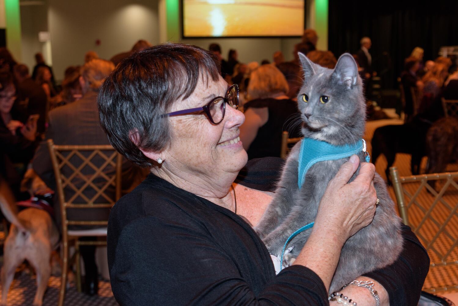 PHOTOS: Did we spot you at the Pet Afflaire Gala at the Dayton Arcade?