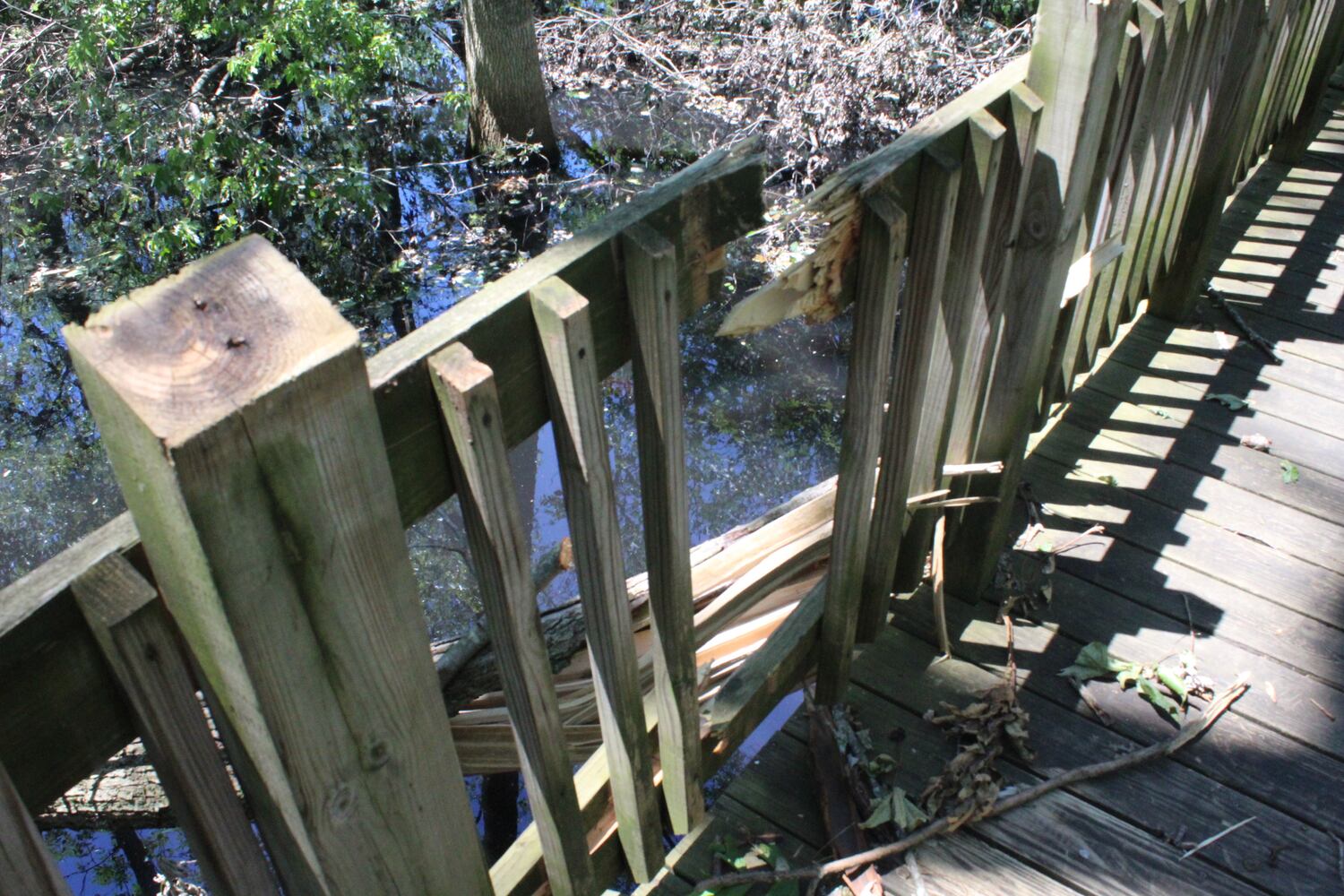 Photos: ‘extraordinary’ damage to parts of  Wegerzyn MetroPark, some parts mostly untouched
