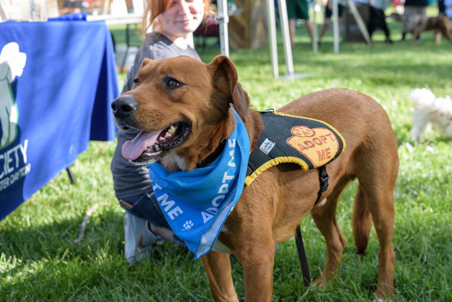PHOTOS: Did we spot you and your doggie during the Furry Skurry 5K & Furry Fest at Eastwood MetroPark?