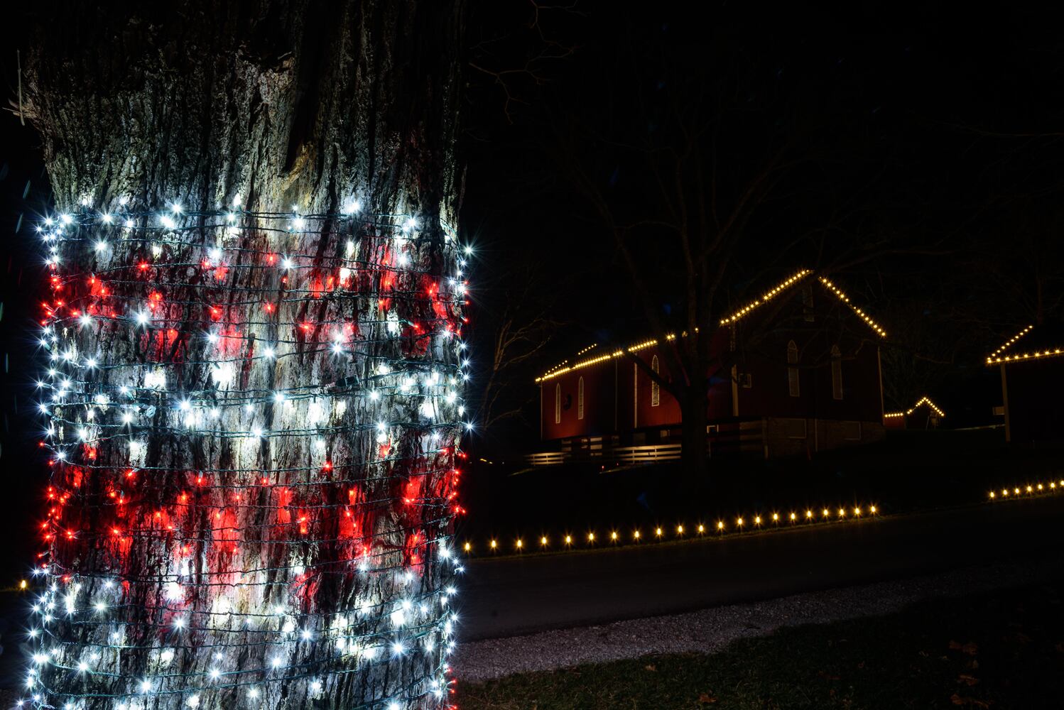 PHOTOS: Holiday Lights dazzle at Lost Creek Reserve in Troy