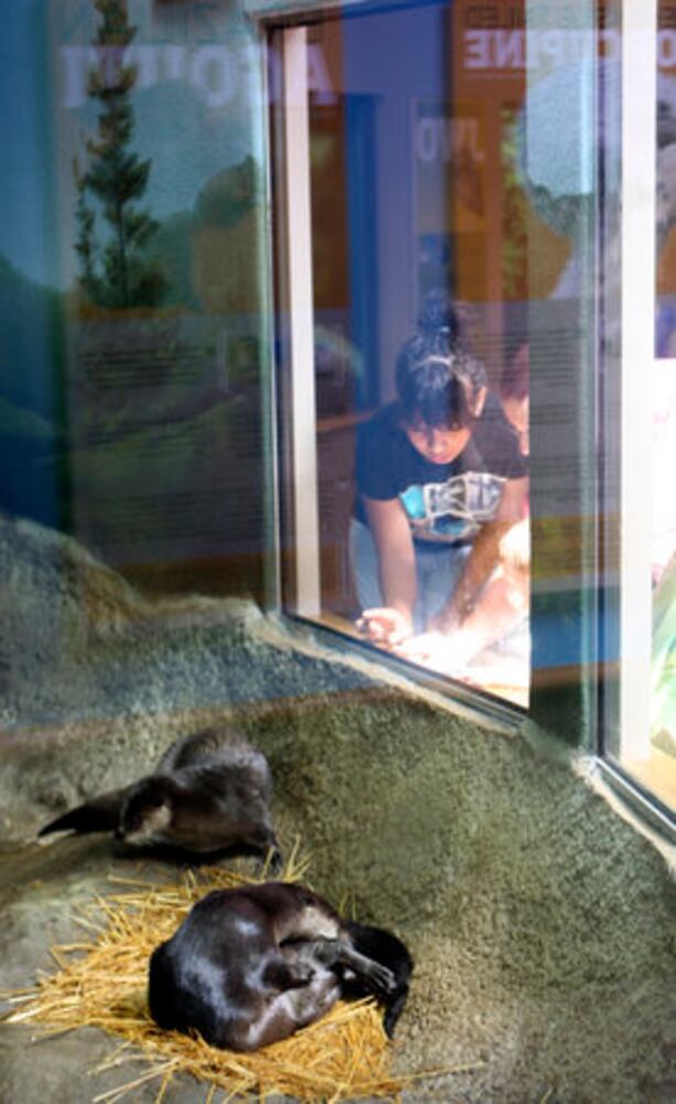 Boonshoft's Discovery Zoo opens