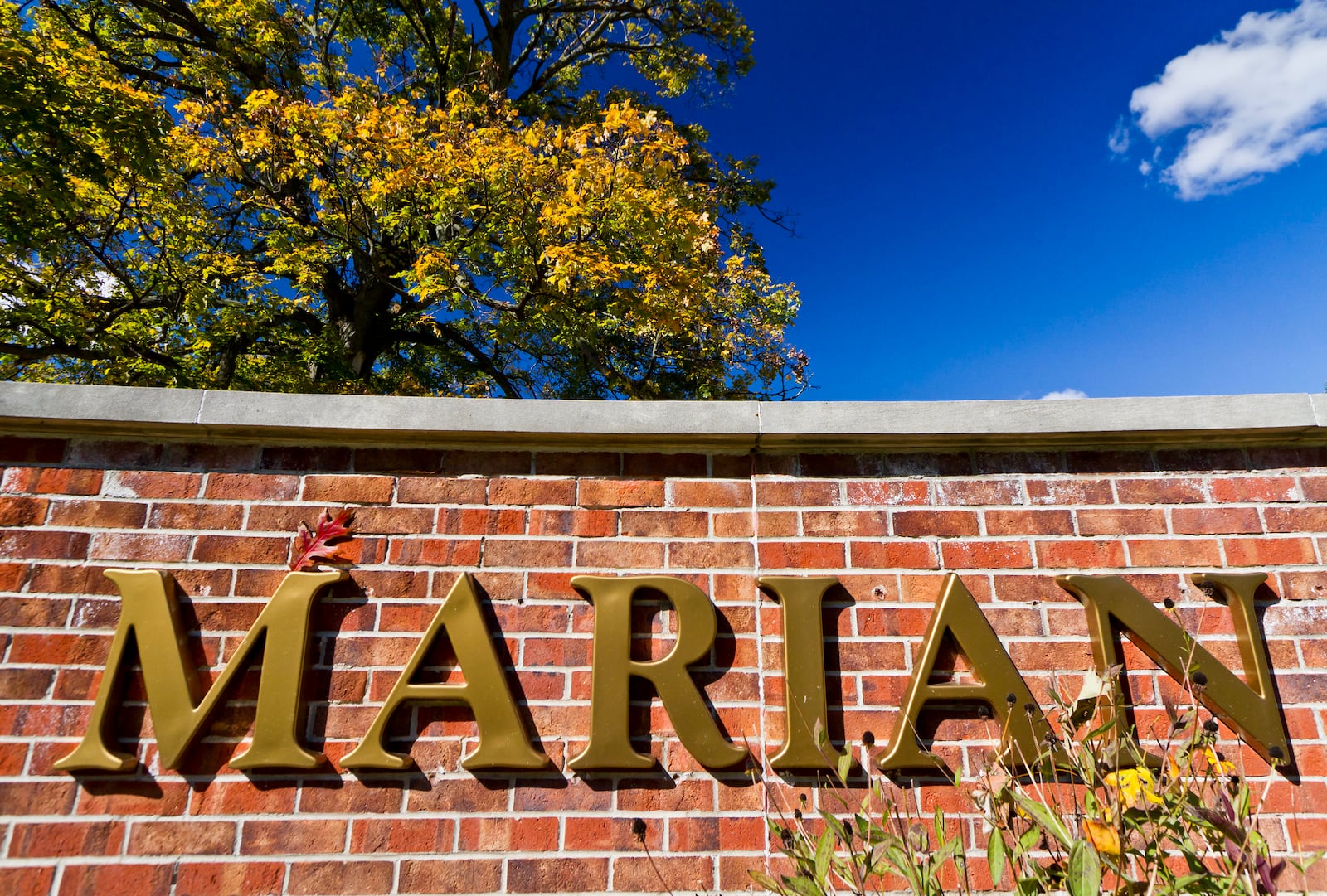 Marian University. Photo courtesy of Marian.