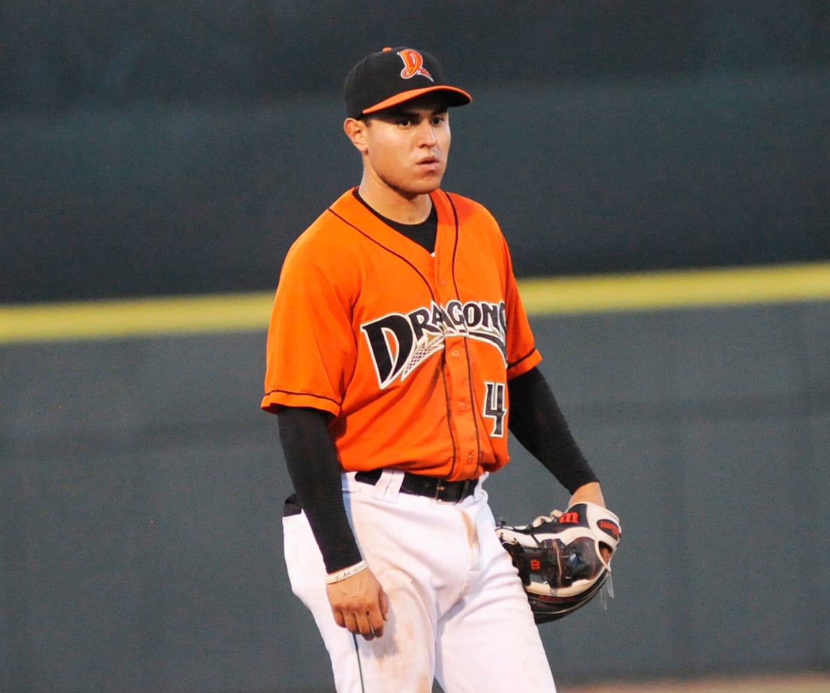 Dragons photo gallery