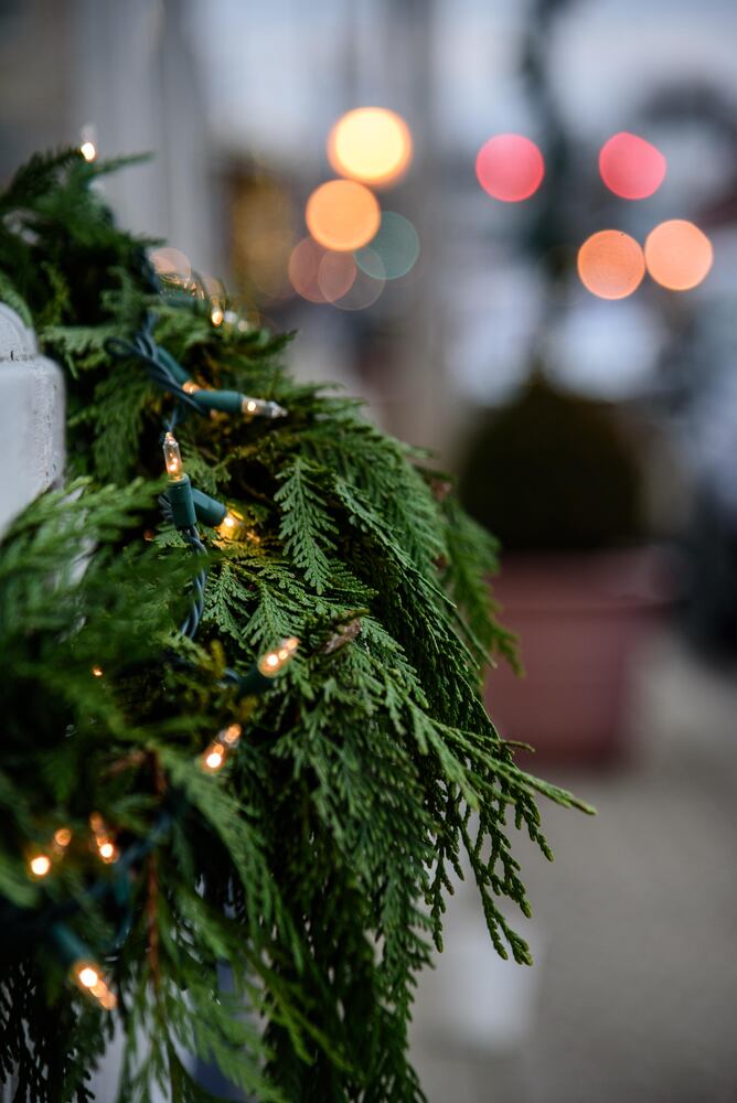 PHOTOS: Did we spot you at Waynesville's Christmas in the Village?