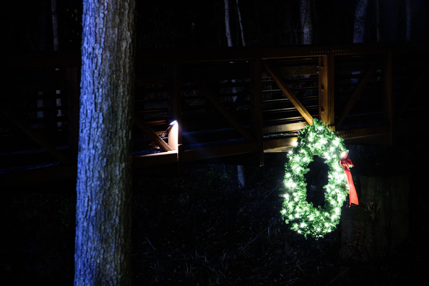 PHOTOS: Holiday at the Falls in Cedarville