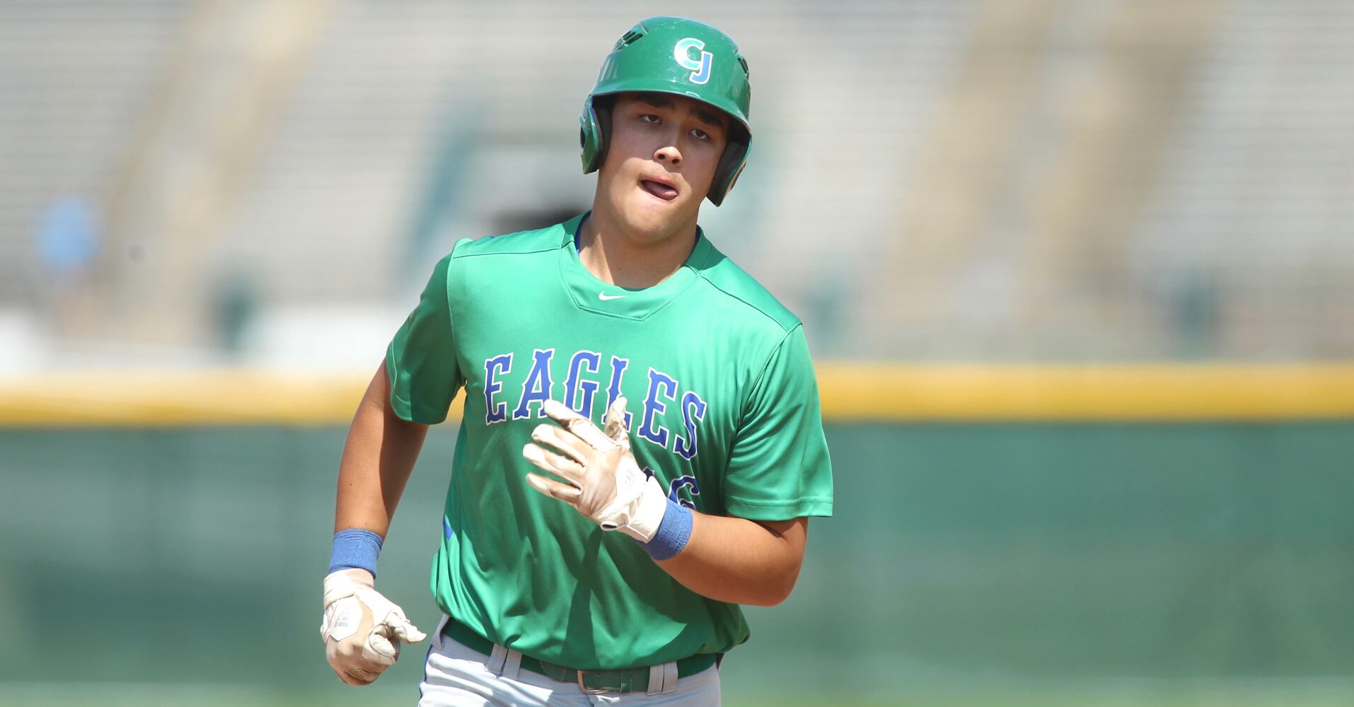 Photos: Chaminade Julienne wins regional baseball title