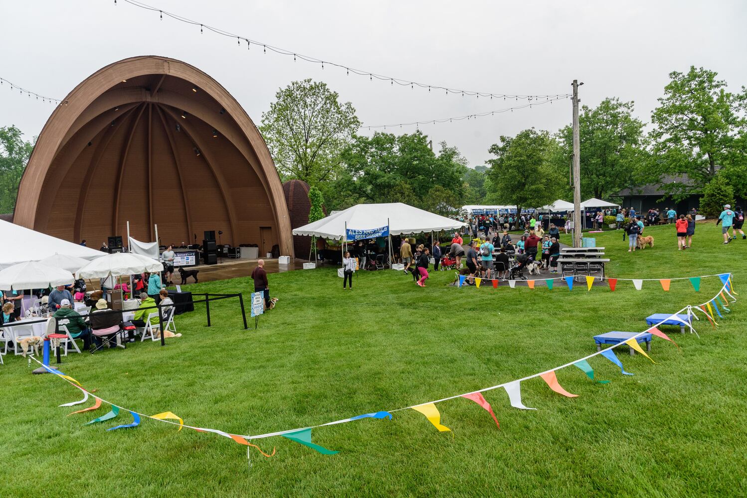 PHOTOS: Did we spot you at the Furry Skurry 5K at Stubbs Park in Centerville?