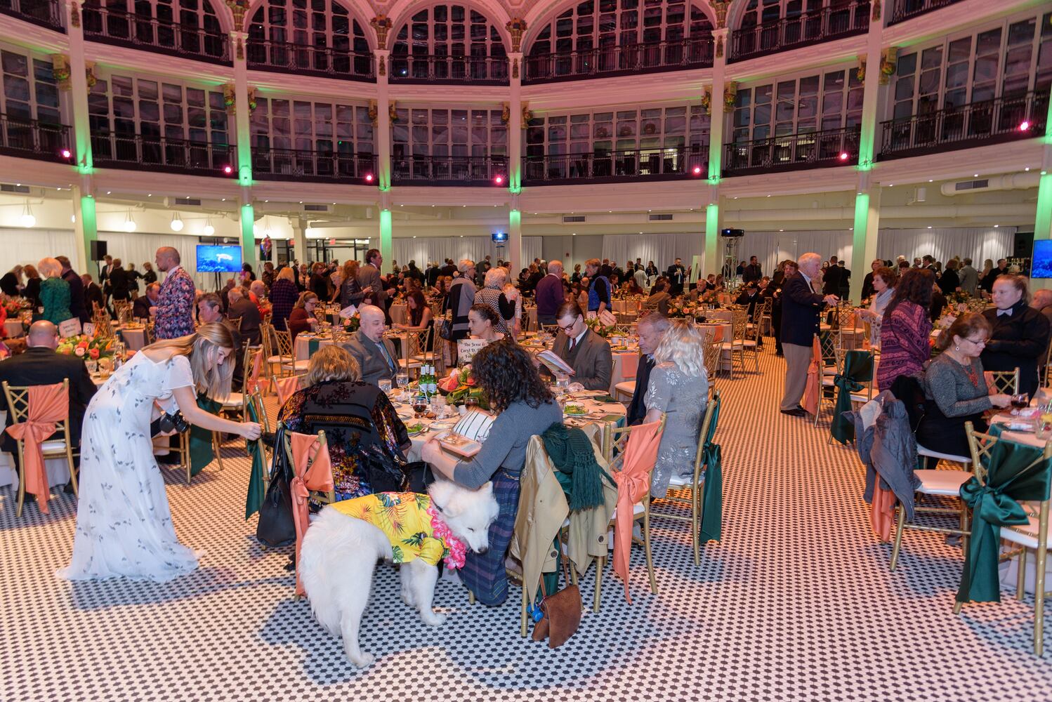 PHOTOS: Did we spot you at the Pet Afflaire Gala at the Dayton Arcade?