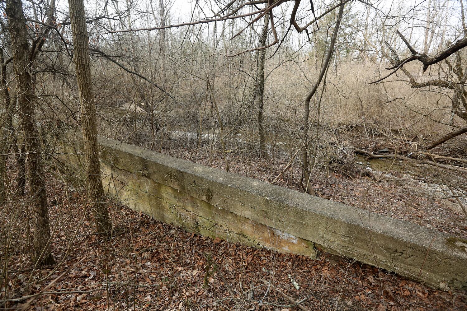 PHOTOS: Long-abandoned amusement park lives on in Possum Creek MetroPark