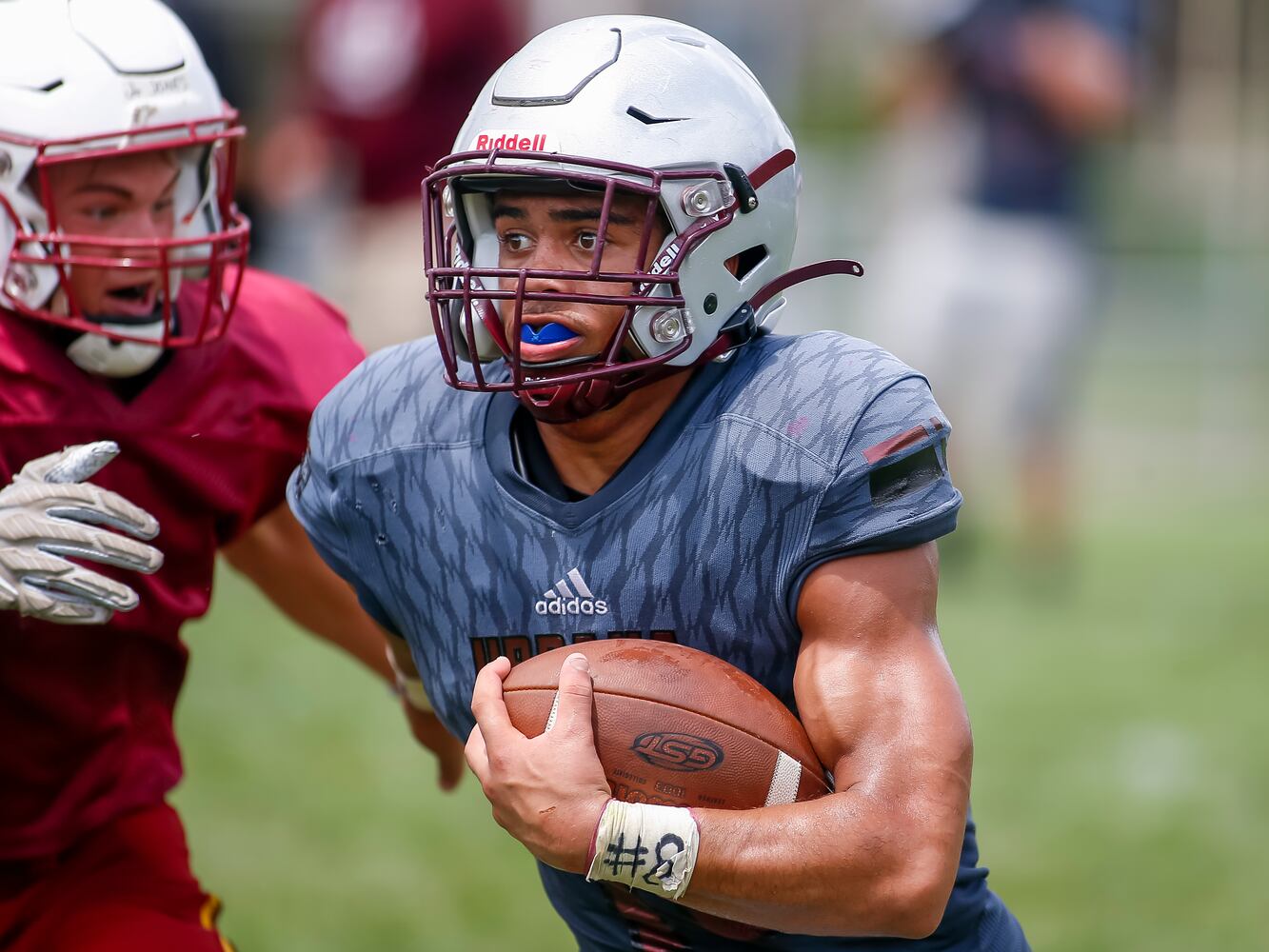 hsfb
