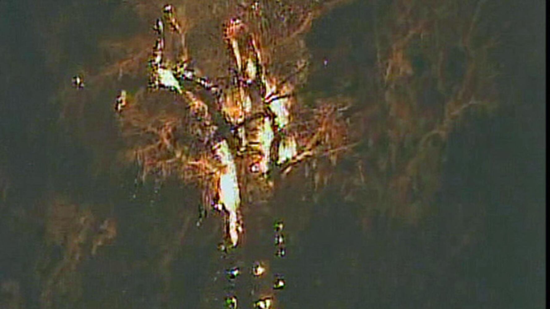 Senator tree on fire