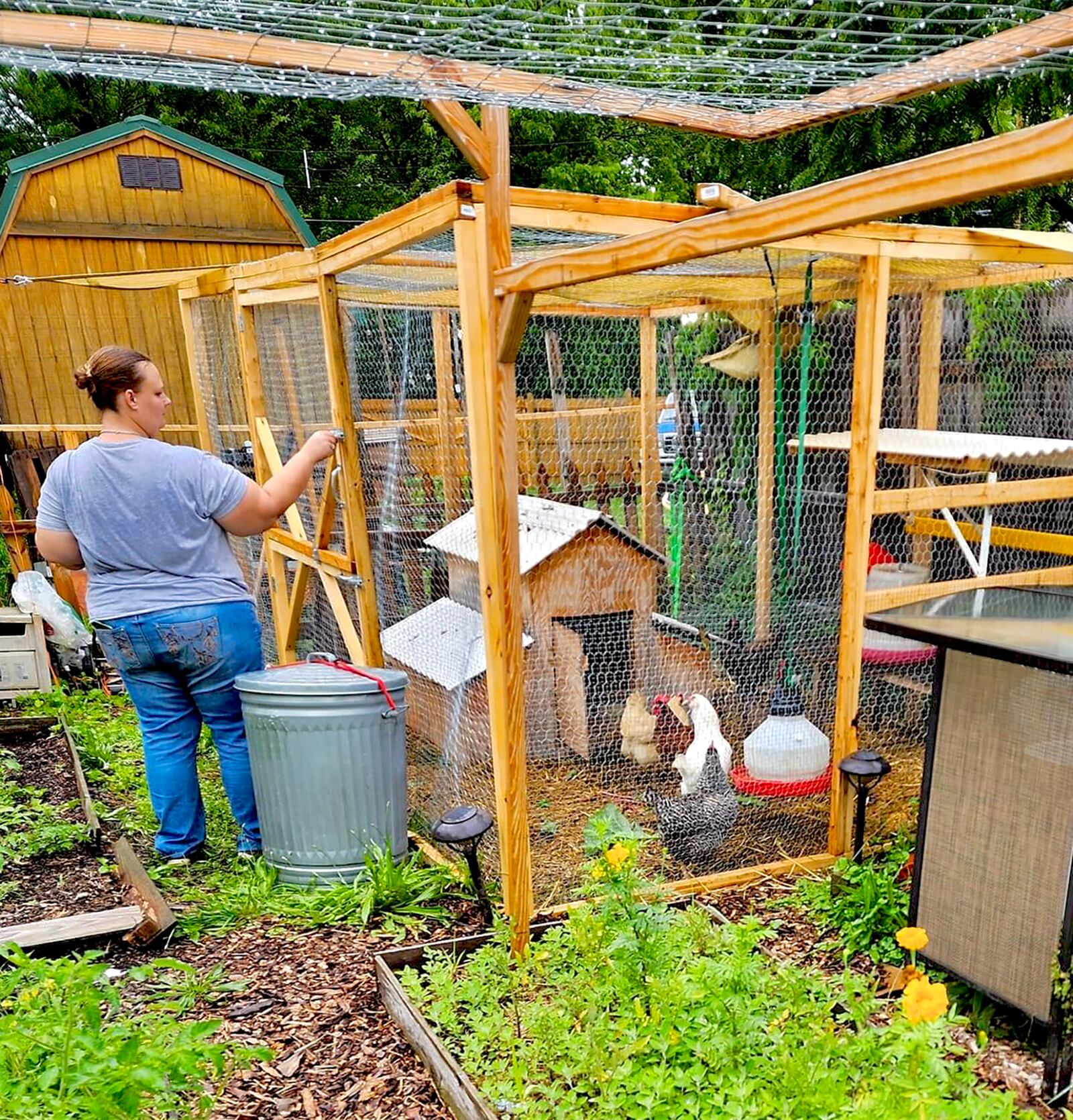 Heather tends to the small flock of laying hens at home in Dayton on Hogs and Hens Urban Farm.