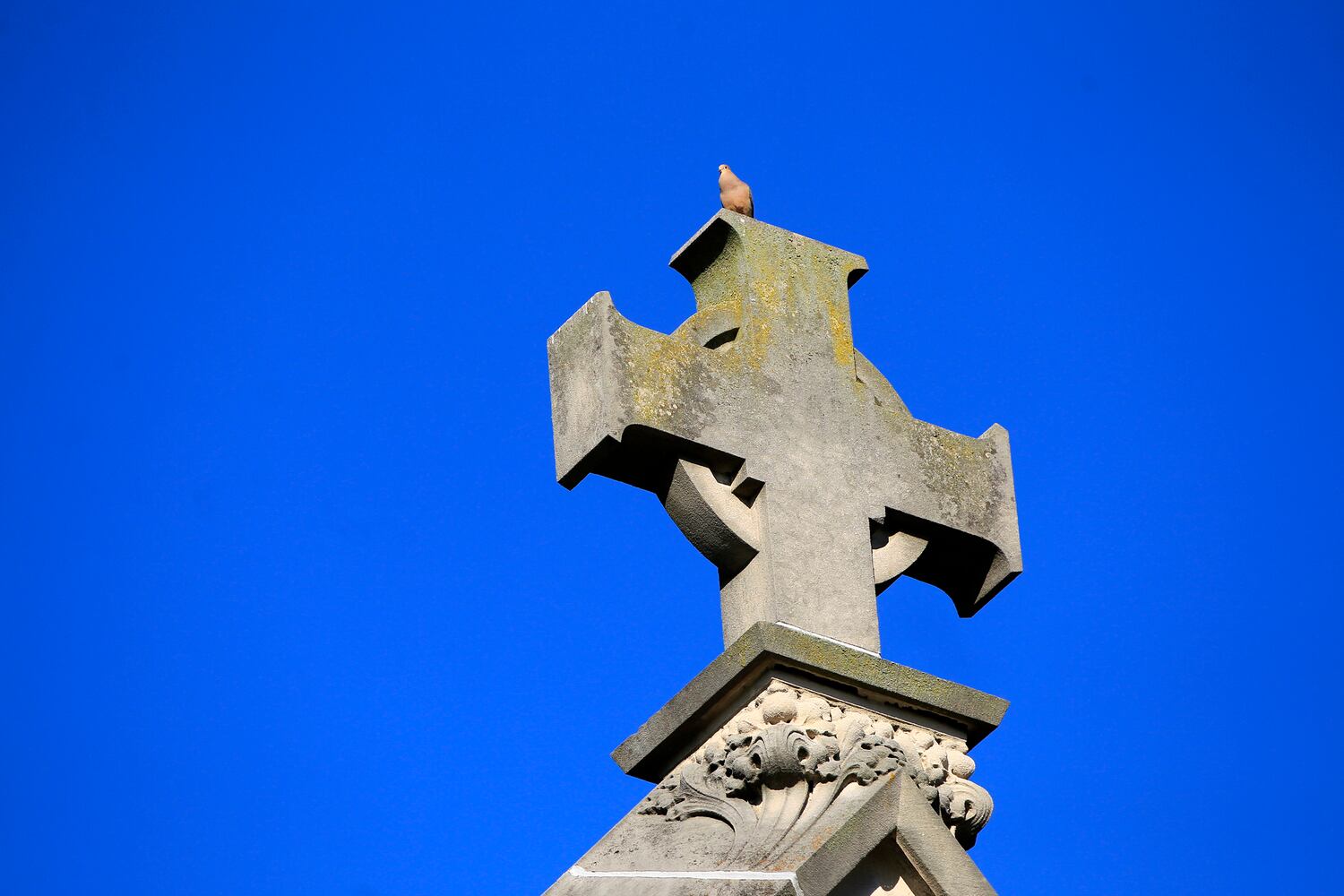 A memorial to the unclaimed dead is being restored in time for a local cemeteries’ 150th anniversary next year.