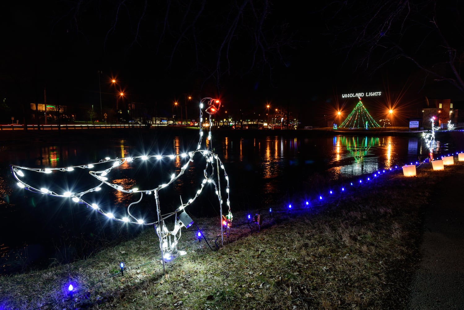 PHOTOS: A walk through Woodland Lights in Washington Township