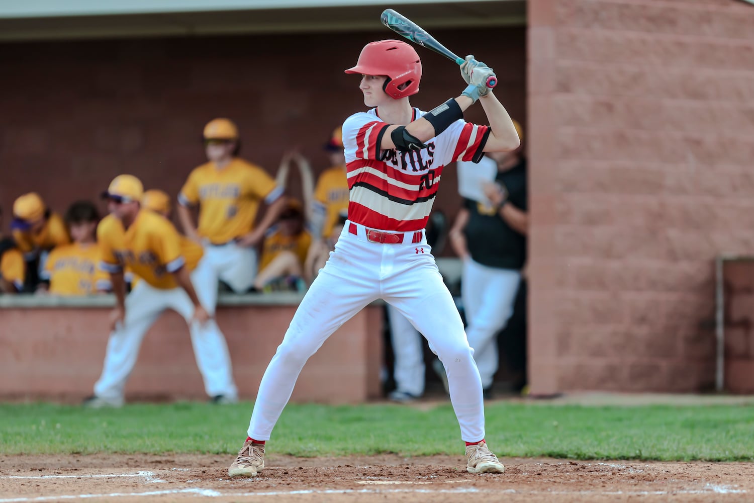 butler tipp baseball