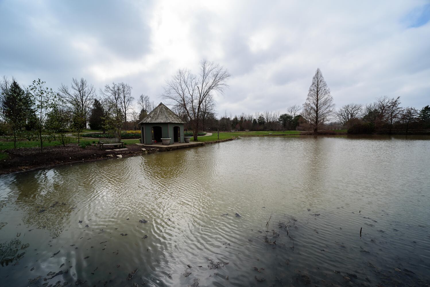 PHOTOS: Take a walk through beautiful Cox Arboretum this spring