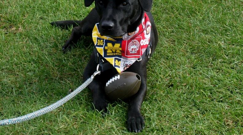 Teddy the Predictor. JORDAN BLAKE/CONTRIBUTED